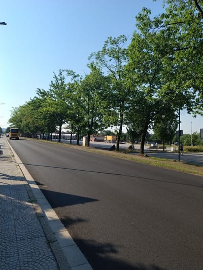 The image shows a street scene in Hluboká nad Vltavou, Czechia, on a clear day. A yellow truck is driving on the right side of a paved road lined with trees. A sidewalk with a decorative pattern runs along the left side of the road. In the background, there are buildings and more trees. A person is visible walking on the right side of the road in the distance. The scene appears to be a typical street in a town or city.