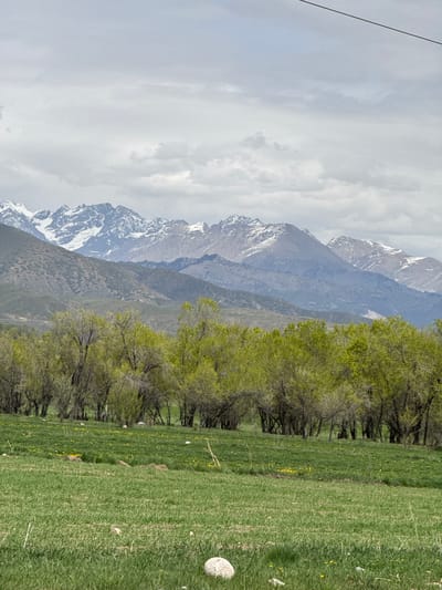 The image captures a serene mountain landscape in Grigor'yevka, Kyrgyzstan, under an overcast sky. In the background, a range of majestic mountains rises, with their jagged peaks partially covered by snow, creating a stark contrast against the cloudy sky. The mountains exhibit varied textures and shades of grey and blue, suggesting depth and rugged terrain.
In the midground, a distinct line of deciduous trees runs horizontally, separating the distant mountains from the foreground. These trees display fresh, light green foliage, indicating either early spring or summer, though some appear sparser while others are fully leafed out.
The foreground is dominated by a vibrant, lush green meadow or field, rich with tall grass. Scattered throughout this verdant expanse are numerous small yellow flowers, resembling dandelions, and a few light-colored, irregularly shaped rocks. The overall lighting is soft and diffused due to the cloudy conditions. A thin, dark line, possibly a power line or cable, is visible extending diagonally across the upper left portion of the cloudy sky.
The scene is devoid of people or any visible text, emphasizing the natural and untouched beauty of the mountainous region.