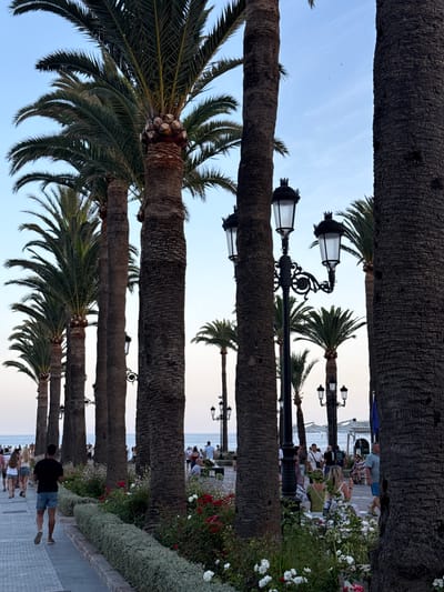 A low-angle, full-shot image captures a tree-lined promenade in Nerja, Spain, with the Mediterranean Sea visible in the background. The foreground is dominated by the rough, dark bark of several large palm trees, their fronds arching towards a clear blue sky. A paved walkway runs alongside a manicured garden bed filled with red and white flowers and low green bushes.

On the walkway, several people are seen walking and conversing. In the mid-ground, a man in a black t-shirt and denim shorts walks away from the camera, while a couple walks ahead of him. Further in the distance, more people stroll along the promenade, some near a white building with awnings that appears to be a cafe or restaurant. Ornate black lampposts with multiple lights are strategically placed along the promenade, suggesting it's a public area designed for evening strolls. The overall atmosphere is relaxed and serene, indicative of a coastal town in the late afternoon or early evening.
