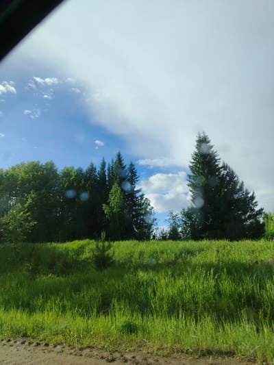 The image depicts a scene in a rural area, possibly near the city of Krasnoyarsk, Russia. In the foreground, there is a patch of dirt with green grass. Further back, a field of tall green grass leads to a line of trees, including both deciduous trees and tall coniferous trees, such as pine trees. The sky is visible behind the trees, with both blue sky and puffy white clouds, and also large, grey clouds in the upper right of the image. The photo appears to be taken from inside a vehicle.