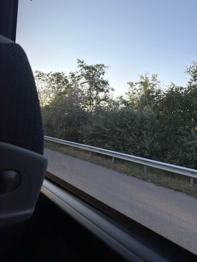 An eye-level, medium shot captures a view from inside a vehicle looking out a window at a roadside scene. In the foreground, the dark interior of the vehicle, including the textured fabric of a seat and a portion of a dark plastic panel with a circular knob, occupies the left side of the frame. The center and right of the image reveal an asphalt road with a white metal guardrail running alongside it. Beyond the road, a dense line of green trees and foliage stretches across the background, with the clear, pale blue sky visible above. The sunlight filters through the trees, creating a soft glow. The image appears to be taken during the day, possibly late afternoon, given the quality of the light. The scene is static, with no people or discernible action. The location is identified as Gorno Varshilo, Bulgaria.