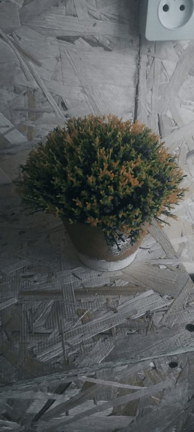 The image shows a close-up, overhead view of a potted artificial plant with green and orange foliage. The plant is placed on a surface composed of wood chips, possibly oriented strand board (OSB). To the upper right, a white electrical socket is visible against the same wood chip background. The scene appears to be indoors, possibly in a room in Покосное, Russia, given the context of the query. There are no people or actions depicted. The lighting is somewhat dim, creating shadows and accentuating the texture of the wood.