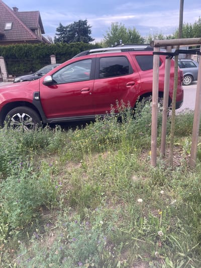 In Konstantynów Łódzki, Poland, a red SUV is parked on a street. The vehicle is positioned at an angle, with its right side facing the viewer and partially obscured by a line of young trees supported by wooden stakes. A grey sedan is parked behind the red SUV, its rear visible. The foreground is covered in a dense growth of green grass and wildflowers, with purple and yellow blossoms interspersed. The background features a residential building with a red-tiled roof, a black metal fence, and evergreen hedges. The sky above is overcast, with a mixture of grey clouds and some lighter patches.