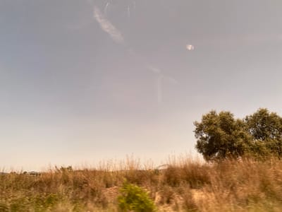 The image depicts a rural landscape under a hazy sky. The foreground is filled with dry, golden grasses and some green foliage, suggesting a dry or late summer season. In the middle ground, there are several trees, with one prominent cluster of lush green trees on the right side of the frame. The background shows a distant, low-lying horizon with hints of structures that could be buildings, possibly in the municipality of Castelló de Rugat, Spain. The sky is pale blue with wispy clouds and a circular lens flare. The image appears to have been taken from a moving vehicle, as indicated by the motion blur in the vegetation. There are no people or animals visible in the scene.