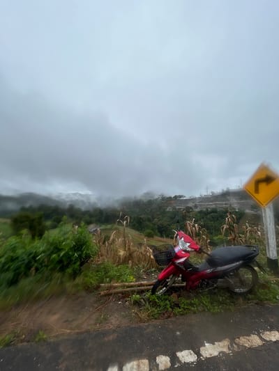 A red scooter is parked on the side of a wet road next to a yellow road sign. Tall, dry corn stalks stand beside the scooter, separating the road from the lush green landscape. Mist or fog obscures the distant view of the hills. The sky is overcast and gray, suggesting rainy conditions. The image is rotated and lacks clarity.