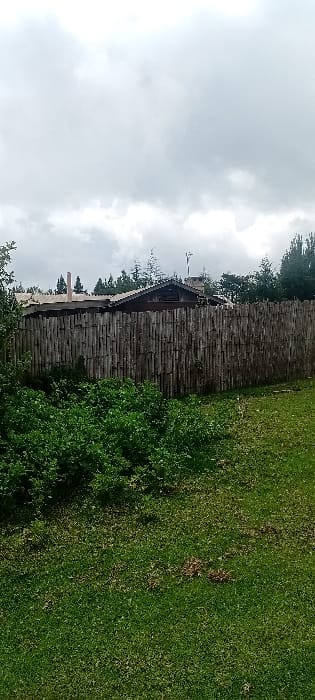 The scene depicts a property in the city of Rwanyambo, Kenya, under an overcast sky. In the foreground, a verdant lawn covers the lower portion of the image, with a dense area of lush green foliage and low-lying plants situated on the left and center. A tall, vertical privacy fence constructed from weathered wooden poles or branches extends horizontally across the midground. Behind the fence, a building with a dark, sloped roof is visible, featuring at least two distinct chimneys; one is a light-colored, slender brick or stone structure on the left, and another, darker structure, potentially a vent or chimney, is on the right. A small weather vane or antenna is mounted on the roof. Numerous trees, predominantly conifers, form a dense treeline surrounding and behind the building. No people or discernible actions are present.