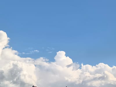 This media file is a photograph of a bright blue sky filled with fluffy white cumulus clouds. The clouds are dense and voluminous, with some casting soft shadows on themselves, indicating sunlight from above. The lower portion of the image reveals the tops of a few structures, possibly rooftops, hinting at an urban or suburban setting. One of these structures, on the far left, appears to be a dark-colored roof with a hint of red on its edge. In the upper expanse of the sky, several small dark specks are visible, which could be distant birds or even aircraft. The overall impression is one of a clear and pleasant day, likely during daylight hours given the bright illumination of the clouds. There are no discernible people or text in the image.