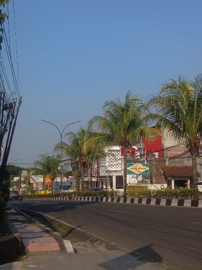 The image displays a street scene in Bojongherang, Indonesia, observed under a clear blue sky. A two-lane asphalt road, partially shaded by long shadows, runs from the foreground towards the background, curving slightly to the left. A raised median strip, featuring low green shrubs and outlined by black and white curbing, separates the lanes. Tall palm trees with green fronds are spaced along this median and in front of the buildings on the right.
On the left side of the road, a concrete sidewalk is visible, bordered by a white curb. Overhead utility poles with numerous wires and cables line this side of the street. On the right, a series of commercial or mixed-use buildings line the road. One prominent white multi-story building features a patterned facade and red accents on its roofline. A large green and yellow sign reading "Saung Nikmat" with food imagery is affixed to this building or an adjacent structure. Another building with a brown tiled roof is visible further right.
Vehicular traffic is light: a lone individual on a motorcycle is observed traveling away from the viewer in the far-left lane, and a white truck is visible in the distance beyond the median strip. Dark-colored vehicles are also partially visible near the buildings. Double-headed streetlights are mounted on poles within the median, and several red and white flags or banners are present near the buildings.
