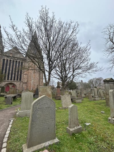 The image depicts a section of St Machar's Cathedral and its surrounding graveyard in Aberdeen City, United Kingdom, taken on an overcast day. The foreground is dominated by numerous gravestones of varying sizes and shapes, scattered across a grassy area. A leafless tree with bare branches stands between the viewer and the cathedral. The cathedral is constructed of stone, featuring a tower and several windows. A footpath runs alongside the graveyard. The overall scene is one of a historic, somber burial ground adjacent to an old cathedral.