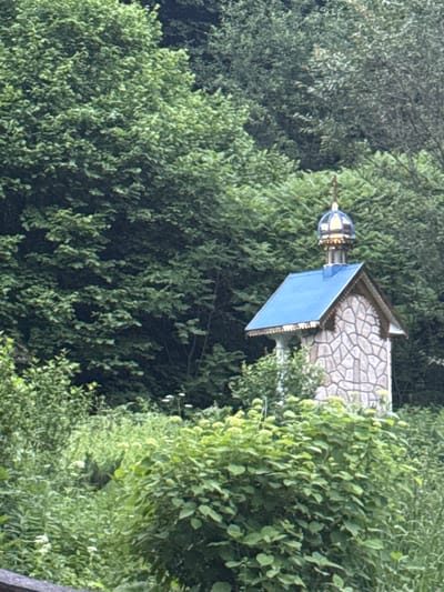 A small, stone chapel with a blue roof and a golden dome stands amidst lush greenery and trees. The chapel's walls are made of irregular, light-colored stones with dark grout lines. A cross adorns the top of the dome. The surrounding vegetation is dense, with various shades of green leaves and some white flowers visible in the foreground. The background consists of a dense forest. The image appears to be taken outdoors during the daytime. The chapel is located in the village of Lisnyky, Ukraine.