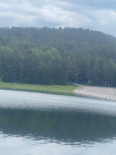 The image depicts a landscape with a body of water, likely a lake or reservoir, occupying the right half of the frame. The water has a textured surface, possibly due to ripples or small waves. On the left, a heavily forested area climbs up a hillside. A concrete dam runs between the water and the hill, with a thin strip of green grass at its base. Further back, there's a path with lights. The sky is overcast with the sun shining in some spots. The scene seems to be at a rural or natural location, potentially near Sv. Konstantin, Bulgaria.