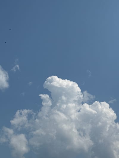 A photograph captures a wide view of a clear blue sky with scattered white clouds. Two small, dark birds are visible in the upper left quadrant of the image, appearing as tiny specks against the vast expanse of the sky. The main focus is a large, fluffy cumulus cloud formation in the lower half of the frame, exhibiting significant depth and texture. The lighting suggests it is daytime, with the sun illuminating the clouds from above. There are no visible man-made structures or people in the image. The scene appears to be an open outdoor environment, potentially a rural or park setting, characteristic of the natural landscape surrounding Chernoistochinsk, Russia.