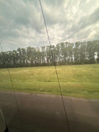 A view from a vehicle window shows a pastoral scene. A treeline of deciduous trees with full green foliage runs horizontally across the middle ground. In front of the trees, a field of green grass, interspersed with patches of yellow, stretches toward the viewer. In the foreground, a dark asphalt road is visible, with a sliver of what appears to be a gray car interior on the left edge. The sky above is overcast with scattered, textured clouds. There are no people or animals visible in the image. The overall impression is a rural landscape viewed from a moving vehicle.