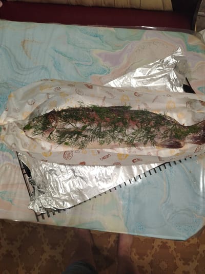 A whole, raw fish is laid out on a patterned paper liner, which is then placed on a shiny, crinkled aluminum foil. The fish is covered in fresh dill, with its scales and fins visible. The paper liner has an assortment of printed images, including what appear to be baked goods like donuts and croissants, and possibly some text in Russian.
The scene is set on a table covered with a blue and white swirled, marbled pattern tablecloth. In the background, a dark red cushioned surface is visible. To the left of the fish, the edge of a metal rack with small, evenly spaced teeth is visible, partially covered by the aluminum foil. A small portion of a person's bare feet is visible at the bottom of the frame, standing on a brown patterned carpet. The lighting suggests an indoor setting, possibly during the day, with no clear indication of the time of day or weather. The overall impression is of food preparation, with the fish being prepared for cooking. The visible text on the paper liner is not clear enough to be fully deciphered.
The location context of Святогорье, Russia, implies a region known for its natural beauty, though this is not directly evident from the image. The image focuses on the prepared ingredients and the immediate surroundings.