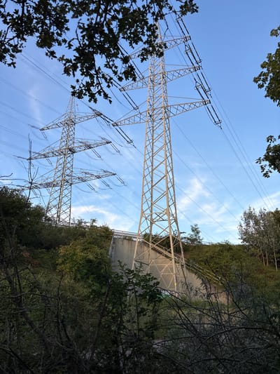 The image depicts a large transmission tower for high-voltage power lines set against a clear blue sky with scattered clouds. The tower is constructed of steel lattice and supports multiple electrical cables. In the foreground and surrounding the tower, there is dense green foliage, including trees and bushes, suggesting a natural or semi-natural environment. Behind the tower, a concrete structure, possibly part of an embankment or bridge, is visible, with a set of stairs leading up along its side. The scene appears to be an outdoor industrial area adjacent to a vegetated hillside. There are no people or animals visible in the image. The location is identified as Ludwigshafen am Rhein, Germany, specifically an area where infrastructure for power transmission intersects with the natural landscape.