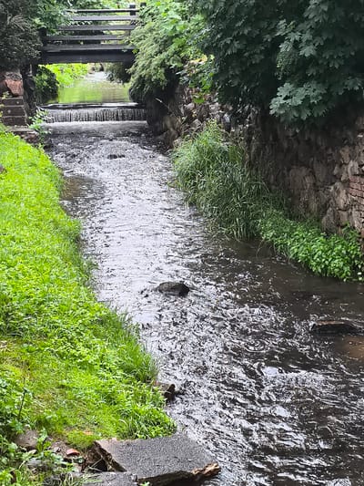 The image shows a narrow, flowing stream in Kuldīga, Latvia. The stream is bordered by lush green grass on the left bank and a stone wall on the right bank, with dense foliage overhanging from above. A small, man-made waterfall is visible in the middle distance, and a wooden bridge crosses the stream further upstream. The water appears somewhat murky, with reflections of the surrounding greenery. The overall scene depicts a natural, yet maintained, riparian environment.