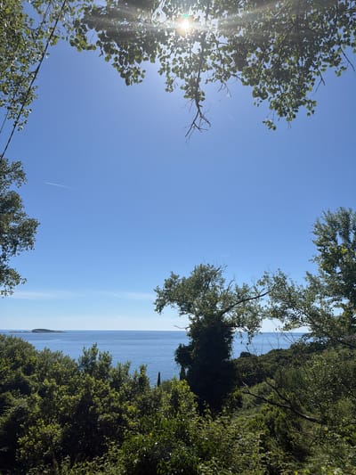 The image captures a view of the sea framed by trees, likely taken in or near Soline, Croatia. The sky is clear and blue, with the sun visible through the branches of a tree in the top left corner. A contrail from an airplane is visible in the lower left of the sky. The sea appears calm and extends to the horizon. Lush green trees and foliage dominate the sides of the image, obscuring the view of land. The angle of the shot is taken from below, looking up through the trees towards the sky and sea.