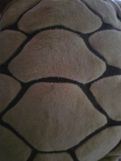 The image depicts a close-up view of a textured surface, located in an unspecified indoor setting within Momkovo, Bulgaria. The primary subject is a plush, soft material featuring a repeating, irregular geometric pattern. The pattern consists of numerous convex, curvilinear segments of muted olive green or tan color, outlined by thin, dark brown or black lines. The texture of the segments is fuzzy and consistent with a short-pile fabric, such as fleece or plush upholstery. The dark lines delineate these segments, forming a tessellated network across the visible area. No individuals, actions, or distinct objects are present within the frame, beyond the patterned surface itself. The lighting is diffused and appears dim, casting no harsh shadows.