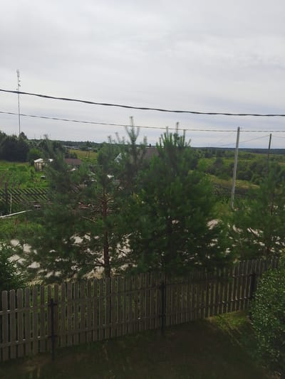 This is a photograph taken from an elevated viewpoint, looking out over a rural landscape that appears to be located in or near Pudozh, Russia, given the context of the information provided. The foreground features a wooden picket fence, a common rural boundary marker, with green grass and shadows visible on the ground below it. Behind the fence, several pine trees are prominent, their needles creating a dense, textured appearance. Beyond the trees, a village or settlement is visible, characterized by several houses and a small greenhouse. A cell tower, a modern piece of infrastructure, stands tall in the distance on the left side of the frame. The sky is overcast with a light gray hue, suggesting cloudy weather. The overall impression is one of a tranquil, semi-rural setting.