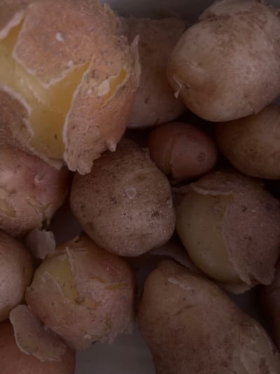 A close-up, overhead shot shows a pile of freshly boiled potatoes, some with their skins partially removed, revealing the tender, yellow flesh underneath. The potatoes are varied in size and shape, with some appearing slightly cracked and others smooth. The overall color palette is dominated by earthy tones of brown, beige, and yellow. The image is cropped tightly, focusing on the texture and detail of the potatoes, with no background or environmental context visible. The image is not located in Preobragenskaya, Russia.