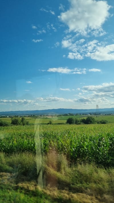 The image depicts a rural landscape with a vast cornfield in the foreground, stretching towards a gently rolling horizon. The sky above is a vibrant blue, dotted with fluffy white clouds. In the mid-ground, a scattering of trees and buildings suggests a small settlement. A towering electricity pylon stands to the right of the frame, overlooking the fields. The scene appears to be captured from a moving vehicle, as indicated by the slight blur and reflections on the glass in the foreground. The location is Spătărești, Romania.