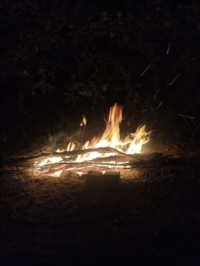 A low-angle, full shot captures a nighttime outdoor scene focused on a crackling campfire. The fire is central, with bright yellow and orange flames licking upwards amidst burning logs and branches. Embers and sparks are visible, ascending into the dark, shadowy background. The ground surrounding the fire appears to be covered in dirt and dry foliage. In the upper portion of the image, dark green foliage is vaguely discernible against the black sky, suggesting the presence of trees or bushes. The scene is dimly lit, with the campfire serving as the primary light source. There are no people visible in the frame. The setting appears to be natural, possibly a wilderness area or a park, with no urban structures or specific landmarks of the city of Жаңажол, Kazakhstan, evident in the image.