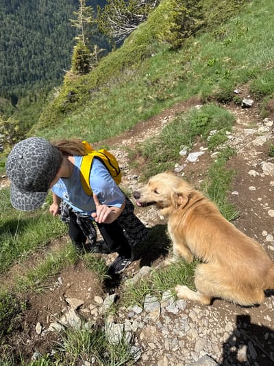 In the mountains near Jošanica, Montenegro, a person wearing a grey leopard-print baseball cap, a blue t-shirt with white text, and a black and white plaid shirt tied around their waist is walking on a dirt path. The person has their left hand raised. Beside them, a golden-colored dog is lying down on the path, looking towards the person and panting. The path is rough and rocky, with patches of green grass and some small plants growing on the steep mountainside. In the background, a dense forest covers the lower part of the mountain, with trees extending up the slope. The sky is clear and bright, indicating a sunny day.