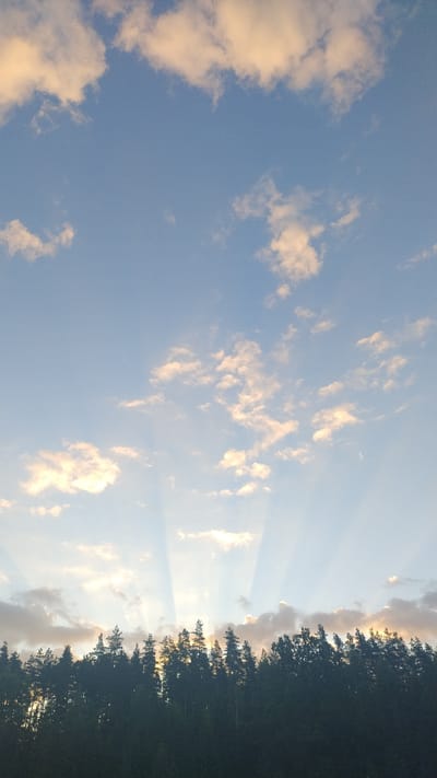 This is a photograph of a forest canopy against a sky with crepuscular rays at sunset. The trees are silhouetted in dark green and black, forming a dense, uneven line across the bottom of the frame. The sky above is a pale blue, gradually lightening towards the horizon. Wispy, light orange and white clouds are scattered across the sky. Shafts of sunlight, or crepuscular rays, are visible extending downwards from behind the clouds, fanning out towards the horizon. The light suggests a time of day just before sunset or just after sunrise. The location is identified as Mailes, Latvia. There are no people or animals visible in the image.