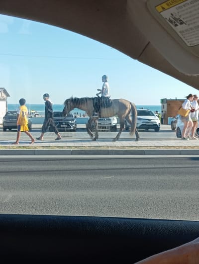 The image shows a street scene with several people and animals, captured from inside a vehicle. The primary focus is on a horse being ridden by a person wearing a white shirt and dark pants. The horse is in motion, with its hind legs lifted. Behind the horse, a white car is visible. Further in the background, more people are seen walking along a sidewalk, some of whom appear to be tourists. One woman is wearing a white top and a yellow bag, and another woman is wearing a white dress and carrying a white bag.

In the foreground, a person in a dark outfit with a white stripe is walking, followed by a person in a yellow shirt and dark shorts. The scene appears to be set on a sunny day, indicated by the bright lighting and clear blue sky. The presence of a beach or body of water is suggested by the distant horizon. The image is taken from within a car, as evidenced by the sun visor and the side of the car's interior visible in the lower left and right corners. The reflection on the car's window is significant, showing the scene in reverse.

There is text visible on the sun visor in the upper left corner of the image. It is partially obscured but appears to be a warning label with text including "EVEN WITH ADVA" and "WARNING". Another section of text reads "HERE AVEC DES CON". The overall impression is a candid shot of a street event or a moment in a resort area. The location is identified as Ömirzaq, Kazakhstan, suggesting a coastal or resort town setting.