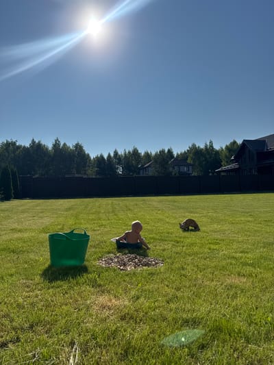 In Борисьево Днп, Russia, on a bright, sunny day, a baby is playing in a small tub in a lush, green backyard. The baby, wearing a diaper, is facing away from the camera, with their back and head visible as they sit in the tub. Nearby, a light-brown cat is sniffing the ground. A large, green plastic bucket stands to the left of the tub. The background features a dark brown wooden fence, behind which a line of tall, dark green trees is visible. Several houses and a large, dark-colored house with a gabled roof are situated beyond the fence and trees. The sky is a clear, bright blue, with the sun prominently shining in the upper left corner, casting lens flares. The ground is covered in neatly mowed grass.