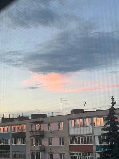 This media file shows a view of a multi-story building and the sky. The building appears to be an apartment complex with many windows, some of which reflect the surrounding environment. The sky is partly cloudy, with some clouds tinged with pink and orange, suggesting it is either sunrise or sunset. There are at least two birds visible in flight. A few trees are also visible at the top of the frame. The image is oriented vertically. No people are visible.