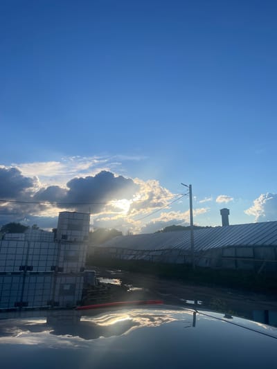 The image depicts a cloudy sky with the sun breaking through the clouds, casting rays of light over a rural or industrial area. In the foreground, the reflective surface of a vehicle is visible, mirroring the sky and clouds. To the left, a stack of large white tanks, possibly for storage or transport, is arranged in a grid pattern. Behind the tanks and extending into the mid-ground are structures resembling greenhouses or agricultural buildings with translucent roofs. A dirt road or path runs between the tanks and the buildings, with puddles of water reflecting the sky. A tall, slender pole with wires extends upwards from behind the buildings, and a smokestack is visible atop one of the structures. Trees and vegetation are present in the background. The overall scene suggests an outdoor industrial or agricultural setting in the village of Tervolovo, Russia, during a period of dynamic weather with sunshine and clouds. There are no people or animals visible in the image.