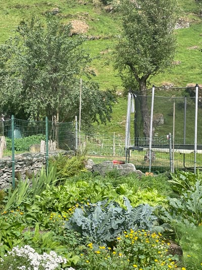 The image depicts a backyard garden in Alagna Valsesia, Italy, with a lush variety of plants, including leafy greens, broccoli, and flowering plants. A trampoline with a safety net is visible in the background, along with a stone wall and a wire fence. The garden is situated on a slope, with a grassy hillside and trees in the distance, suggesting a rural or semi-rural setting. The overall impression is one of a cultivated space in a natural environment.