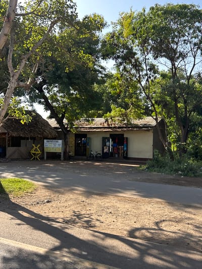 The image displays a sunlit roadside scene in Mto Wa Mbu, Tanzania, featuring buildings and dense vegetation. The perspective is from the road, looking towards the structures.
On the right, a dirt and gravel road runs parallel to the buildings. A narrow, slightly paved strip with a faint yellow line is visible closer to the structures. Long, distinct shadows cast by unseen objects, likely the numerous trees, stretch across the road, suggesting either early morning or late afternoon under bright, clear skies. A strip of green grass lies between the road and the buildings.
Two main structures are visible on the left side of the road. The more prominent building is a single-story establishment with light-colored, possibly cream or yellow, walls and a corrugated metal roof. Its front features an open entrance or storefront, where shelves display various items, possibly consumer goods or supplies. A bicycle is parked near this entrance.
To the left and slightly in front of this building, there is a smaller, more rustic structure characterized by a distinctive thatched roof. In front of this thatched-roof building, a white sign with black text is clearly visible. The top of the sign reads "SMART PHOTO STUDIO." Below this, a list of services is partially legible, including "Passport Photos," "Instant Photos," "Printing," and "Laminating." Several bright yellow plastic chairs are positioned outside this area.
The entire scene is enveloped by lush green foliage from numerous large trees, which provide significant shade and dominate the left and upper parts of the image. The sky is clear and blue. No people are visible, and the scene presents a static snapshot of a local business alongside a rural road.