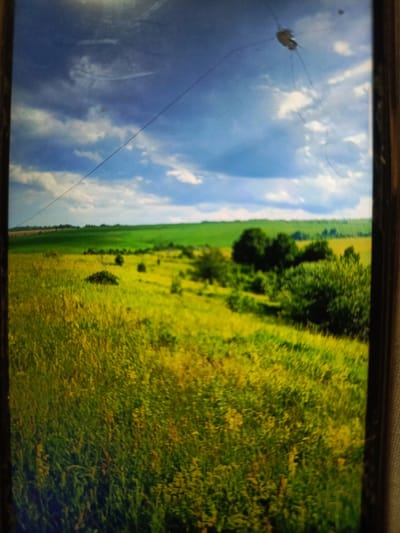 The image depicts a wide-angle view of a rural landscape, possibly a field or meadow, under a bright blue sky with scattered clouds. The foreground is dominated by tall, golden-hued grass and some smaller green bushes. In the mid-ground, there are patches of darker green vegetation and more clusters of bushes and trees. The background shows rolling green hills, with a distinct line of trees at the horizon and fields of varying shades of green. The sky occupies the upper portion of the image. There are thin, dark lines across the sky, which appear to be from the screen or a protective layer over the image, not part of the actual landscape. A small, dark object with thin legs is visible in the sky, suspended by fine threads, resembling a spider or a similar arachnid caught in the wind. There are also a few small, indistinct spots in the sky. The image appears to be taken indoors, looking at a display. The location is not within the city of Svoboda, Russia, as the scene is clearly a natural landscape.