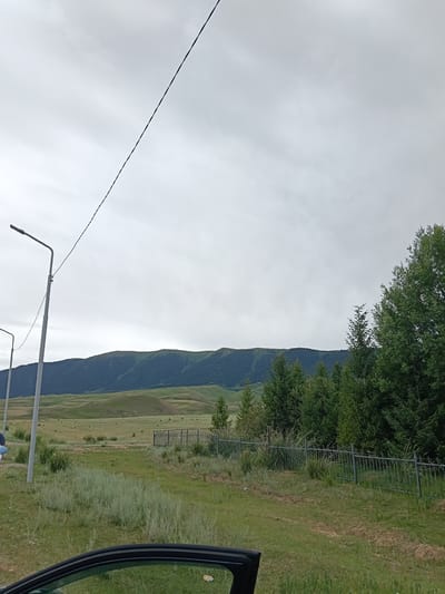 The image captures a rural landscape under an overcast sky. In the foreground, the top of a car door is visible, reflecting a patch of grass and a hint of sky. To the left, two tall, slender lampposts stand, one with a bent arm and a wire stretching diagonally across the frame towards the upper left corner. Beyond the lampposts, a green, rolling hillside extends into the middle ground, dotted with scattered hay bales. A dark metal fence runs horizontally across the mid-ground, separating the field from a line of dark green coniferous trees that rise in front of a large, dark green, forested mountain range dominating the background. The mountains have a layered appearance, with lighter green slopes in the foreground and darker, denser foliage further back. The overall impression is a serene, natural setting, likely on the outskirts of a rural area like the city of Сарыжаз, Kazakhstan.