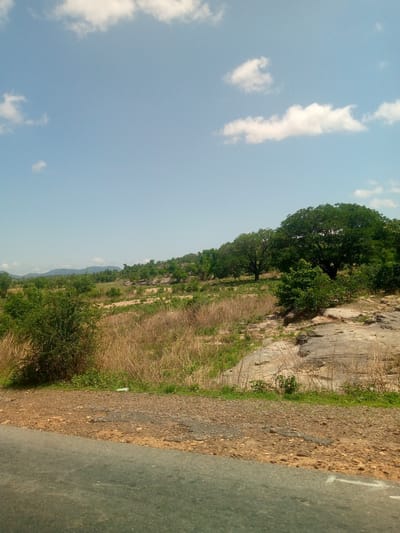 This photograph, captured in the vicinity of Mararaban Tula, Nigeria, presents an expansive daytime landscape. The bottom foreground features the edge of a dark gray asphalt road, exhibiting a textured surface. Immediately adjacent to the road on the right, an unpaved shoulder composed of reddish-brown earth and loose gravel extends upwards, showing minor surface irregularities. Minimal green vegetation, including small grasses and plants, lines the immediate border of the road shoulder.

Beyond the road, the midground rises gently, dominated by swathes of dry, golden-brown grasses and scattered green shrubs and small trees. Prominent on the right side of the midground are large, flat, light grey-brown rock formations embedded in the terrain. A line of mature trees with dense, dark green canopies stretches horizontally across the mid-distance, partially defining the transition to the background.

The background reveals a series of undulating hills or low mountains, appearing lighter green and somewhat hazy due to atmospheric distance. The sky above is a clear, light blue, populated by several distinct white cumulus clouds of varying sizes. The lighting indicates bright daylight conditions. No human or animal subjects are visible within the frame.