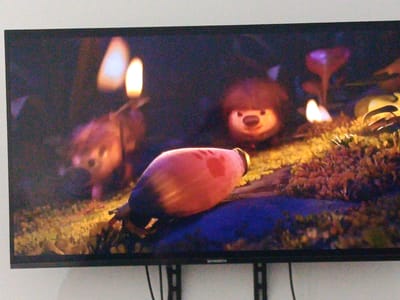 The media file shows a scene from an animated movie displayed on a television screen. The scene appears to be set in a whimsical, enchanted forest at night.

The subjects are cartoonish characters. In the foreground, a large, reddish-pink, egg-shaped object is prominently featured, lying on a mossy surface. It has two red markings resembling paw prints on its surface and appears to be an object rather than a living creature. Further in the background, two small, furry creatures with round heads and expressive eyes are visible. One of these creatures, on the right, has dark brown, bushy fur around its head and a small, pink nose. The other creature, to the left, is slightly out of focus but also appears to be furry.

The setting is a forest floor covered in moss and small plants, illuminated by glowing elements. There are several light sources in the scene. Two bright, flame-like lights are visible, suggesting torches or magical light sources. There are also glowing mushroom-like structures, one of which is a vibrant pink and cone-shaped, and another appears purplish and taller. The overall atmosphere is magical and slightly mysterious, with a dark, possibly nighttime, setting enhanced by these artificial lights.

The activity taking place is not explicitly clear from the still image, but the presence of the characters and the setting suggests a narrative scene from the movie. The characters might be interacting with the egg-shaped object or navigating through the magical forest.

Notable details include the distinct textures of the moss and fur, the vibrant colors of the glowing elements, and the contrast between the dark background and the illuminated foreground and characters. The image is slightly grainy, indicating it was taken of a screen.

Visible text on the television screen is "SKYWORTH" located at the bottom center of the frame, indicating the brand of the television.

The location context of Arkadag, Turkmenistan, does not provide direct cues within the image itself, as the scene is from an animated film.