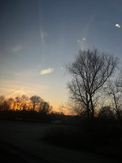 The image showcases a serene landscape featuring a silhouette of bare trees against a sunset sky. The sky transitions from a light blue to a vibrant orange near the horizon, where the sun casts a warm glow. A dark, undefined mass occupies the right side, likely a forest or dense foliage. Light bubbles are visible on the top left part of the sky. The entire scene is rotated, placing the sky on the left and the ground on the right.