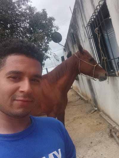 The image depicts an outdoor scene in Cujisal, Venezuela, featuring a man, a horse, and a building under an overcast sky.

A male subject, estimated to be in his twenties or thirties with short dark curly hair and light facial stubble, is in the left foreground, wearing a blue crew-neck t-shirt. He is looking directly at the camera, capturing a selfie. Behind and to the right of the man, a reddish-brown horse stands facing left, equipped with a light-colored rope halter around its head. The horse appears calm.

The background consists of a weathered, light-colored concrete or stucco building wall on the right, showing stains and discoloration. Two windows with dark metal security bars are visible in the wall; the horse's halter is secured by a light-colored rope tied to the bars of the foremost window. The ground is unpaved, composed of light brown dirt or sand, with a concrete curb running along the base of the building wall. A dense tree with dark green foliage is visible in the upper left of the frame. A small, dark circular satellite dish is mounted on the building wall in the upper mid-ground, and utility lines are present against the uniformly gray sky.
