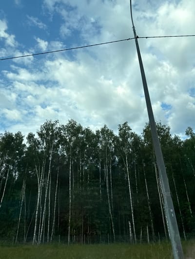 The image depicts a view of a forest with tall, slender birch trees in Ozyablitsy, Russia. A utilitarian power line pole and cable bisect the sky, which is filled with scattered white clouds against a blue backdrop. The foreground shows a patch of green grass. The scene is captured in natural daylight, with the sun illuminating the clouds and the tops of the trees, while the lower parts of the forest are in shadow.