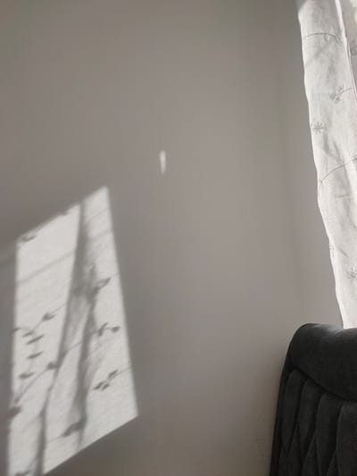 The image depicts a close-up view of a plain, light-colored wall with natural light casting shadows. On the left side of the wall, a distinct shadow pattern, likely from window blinds or shutters, is visible, creating a series of parallel lines and subtler leaf-like shapes. A small, elongated bright spot of light is present higher up on the wall. To the right, a portion of a textured, dark gray upholstered chair or sofa is visible in the foreground, with its backrest slightly angled towards the wall. A white, sheer curtain with subtle embroidered floral patterns hangs to the right of the frame, allowing light to filter through. The overall scene suggests an indoor setting, possibly a room in a residential building in Zrenjanin, Serbia, where the natural light is interacting with the interior elements. There are no people or overt actions depicted.