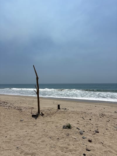 The image shows a beach scene, likely near Thousand Oaks, United States. The sky is overcast. The ocean with visible waves meets a sandy beach with small rocks and shells. A long, thin piece of driftwood is stuck in the sand, angled towards the water. Other small pieces of driftwood are scattered on the beach. A small patch of vegetation is visible on the sand. There are no people in the frame.