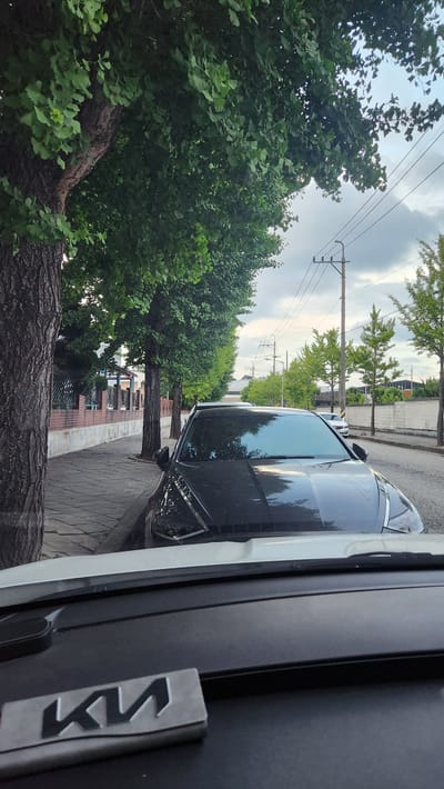 The image shows a street scene in Gwangju, South Korea. The foreground is dominated by the side of a black car, with the "Kia" logo visible on its body. Next to the car is a sidewalk made of interlocking pavers, bordered by a strip of grass and then a line of trees with green foliage. Beyond the trees, a power pole with multiple wires stands tall against a cloudy sky. In the background, more trees and buildings are visible, suggesting an urban or suburban environment. The image appears to have been taken during the daytime, likely late afternoon, given the lighting and cloud cover. The perspective suggests the photo was taken from inside another vehicle.