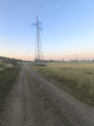This image captures a rural landscape at twilight in Haguenau, France. A wide gravel and dirt path traverses the foreground, extending from the bottom center towards a paved road in the mid-distance. To the left of the path, dry, unkempt grass and a line of dense vegetation are present. To the right, a large field of dry, yellow-brown grain crops occupies the space, with a wooden utility pole visible within it further back. A tall, lattice-steel power transmission pylon stands prominently near the center of the image, situated between the path and the grain field, supporting multiple overhead power lines that extend across the upper portion of the frame. The sky transitions from light blue at the top to a pale orange-pink hue near the horizon, indicating either dawn or dusk. In the background, beyond the paved road, several low-rise buildings with light-colored facades and dark roofs are discernible, alongside additional distant vegetation. No individuals or active vehicles are present in the scene.