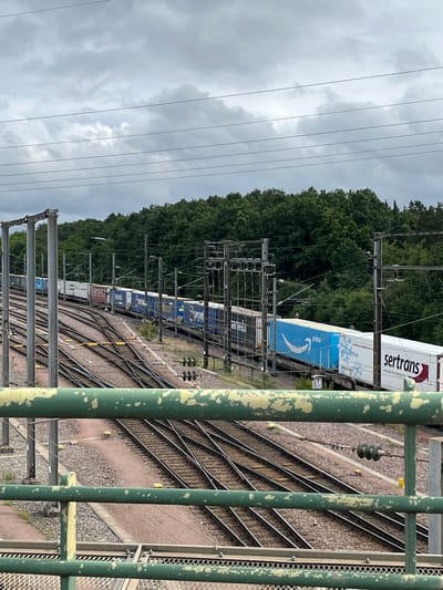 The image shows a freight train with multiple blue and white containers on train tracks. The train is traveling through a wooded area with a cloudy sky overhead. The foreground features a green, weathered metal railing and a glimpse of more train tracks below. One of the containers on the train is branded with the Amazon Prime logo, and another with "sertrans". This scene is likely located near the Dudelange freight railway station in Dudelange, Luxembourg, given the presence of a freight train and the general landscape. There are no people visible in the image.