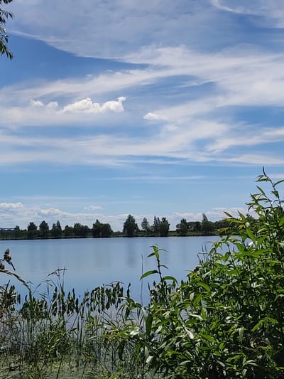 A serene landscape photograph depicts a calm lake under a bright blue sky dotted with wispy white clouds. The shoreline is lined with a dense row of trees, their green foliage a sharp contrast to the tranquil blue of the water. In the foreground, lush green reeds and plants grow along the edge of the lake, their leaves rustling gently in what appears to be a pleasant day. The overall scene evokes a sense of peace and natural beauty. The time of day is likely midday or early afternoon, given the bright sunlight. There is no visible text in the image. The location context suggests this scene is in the Kvassowski village council area of Belarus.
