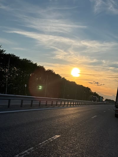The image depicts a highway scene at sunset in Таймурзино, Russia. The sun, a bright orb, is positioned low in the sky, casting a warm, golden light and long shadows across the asphalt. Wispy clouds, tinged with orange and yellow hues, stretch across a pale blue sky. A dense line of trees forms a dark silhouette along the side of the road, with streetlights visible among them. A metal guardrail runs along the edge of the highway, separating it from the tree line. The road surface is asphalt, marked with white lines. Several vehicles, including trucks, are visible in the distance on the highway. The overall impression is a tranquil, natural landscape transitioning into evening on a rural road.
