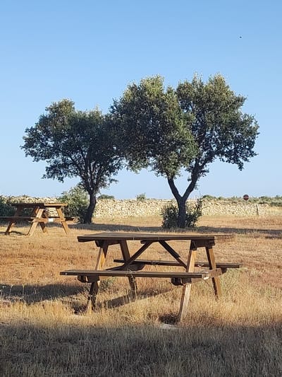 The image depicts a dry, grassy field with two wooden picnic tables. In the background, a low stone wall runs horizontally across the frame, with two trees providing shade. The sky is clear and blue. One picnic table is in the foreground, and another is partially visible on the left side of the image. A small bird can be seen in the sky above the trees. A red stop sign is visible on the right side of the image, mounted on a post. The environment appears to be a rural or park-like setting. The location is identified as Sobradillo, Spain.