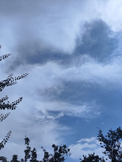 A low-angle shot of the sky in Kerben, Kyrgyzstan, features a dynamic cloudscape with a mix of light and dark gray formations against a bright blue sky. Silhouetted against the sky are the tops of trees on the bottom and left sides of the frame, with branches and leaves casting dark shadows. The clouds are wispy and textured, with some appearing dense and others more spread out, suggesting a partly cloudy day. The overall scene conveys a natural, outdoor environment.